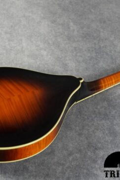 19 19