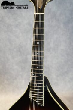 6 6