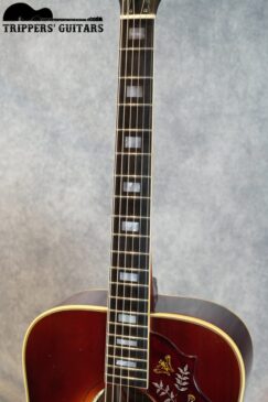 6 6