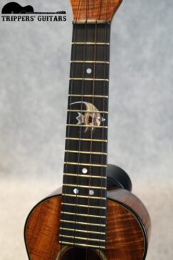 6 6