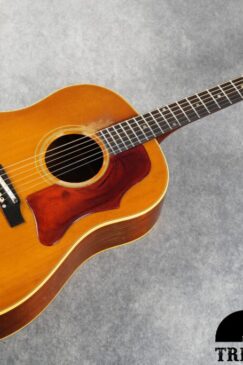 20 20